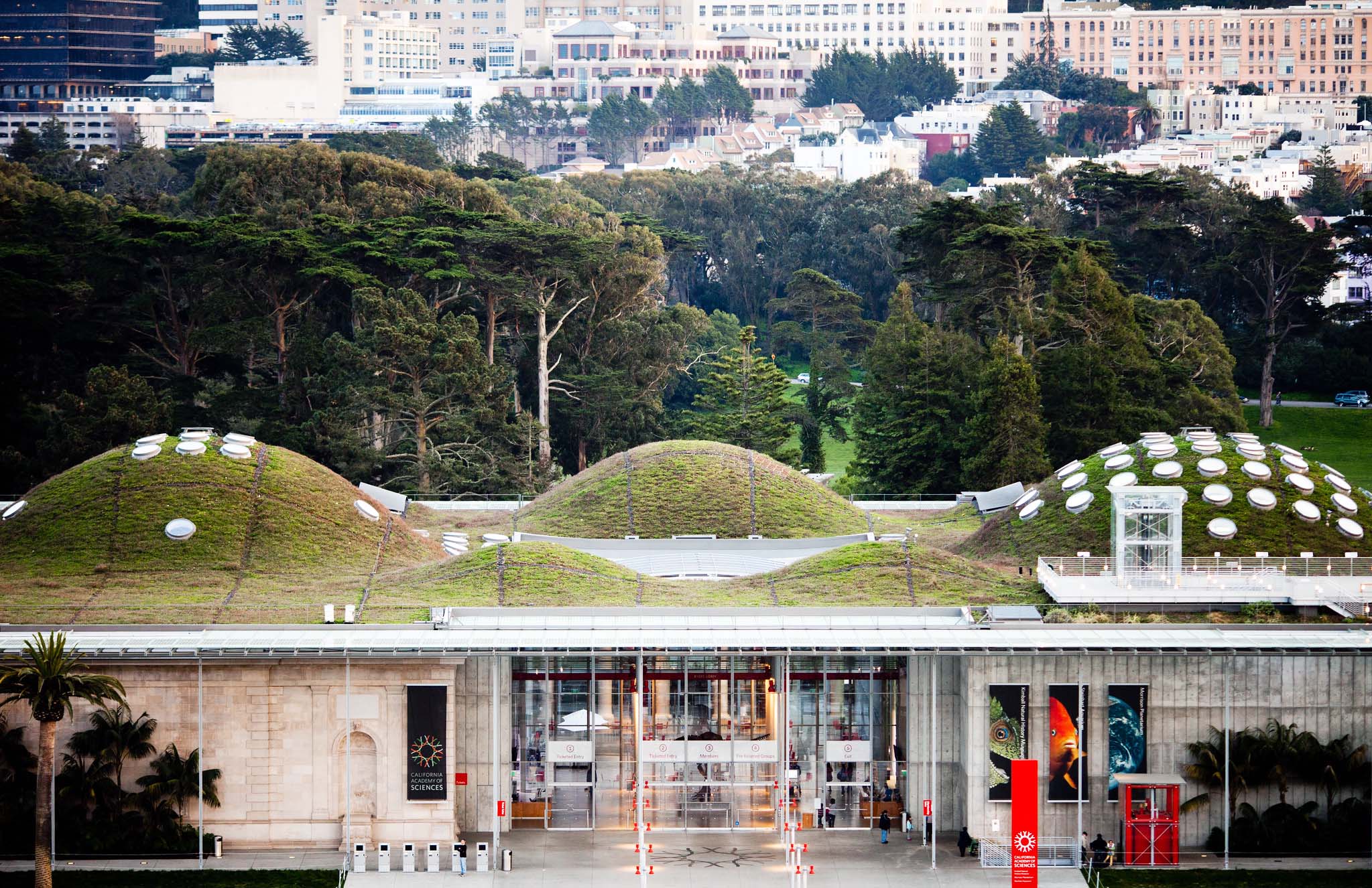 Looking across at the museum building, with the green roof visible above the entryway and a park and city buildings in the background.