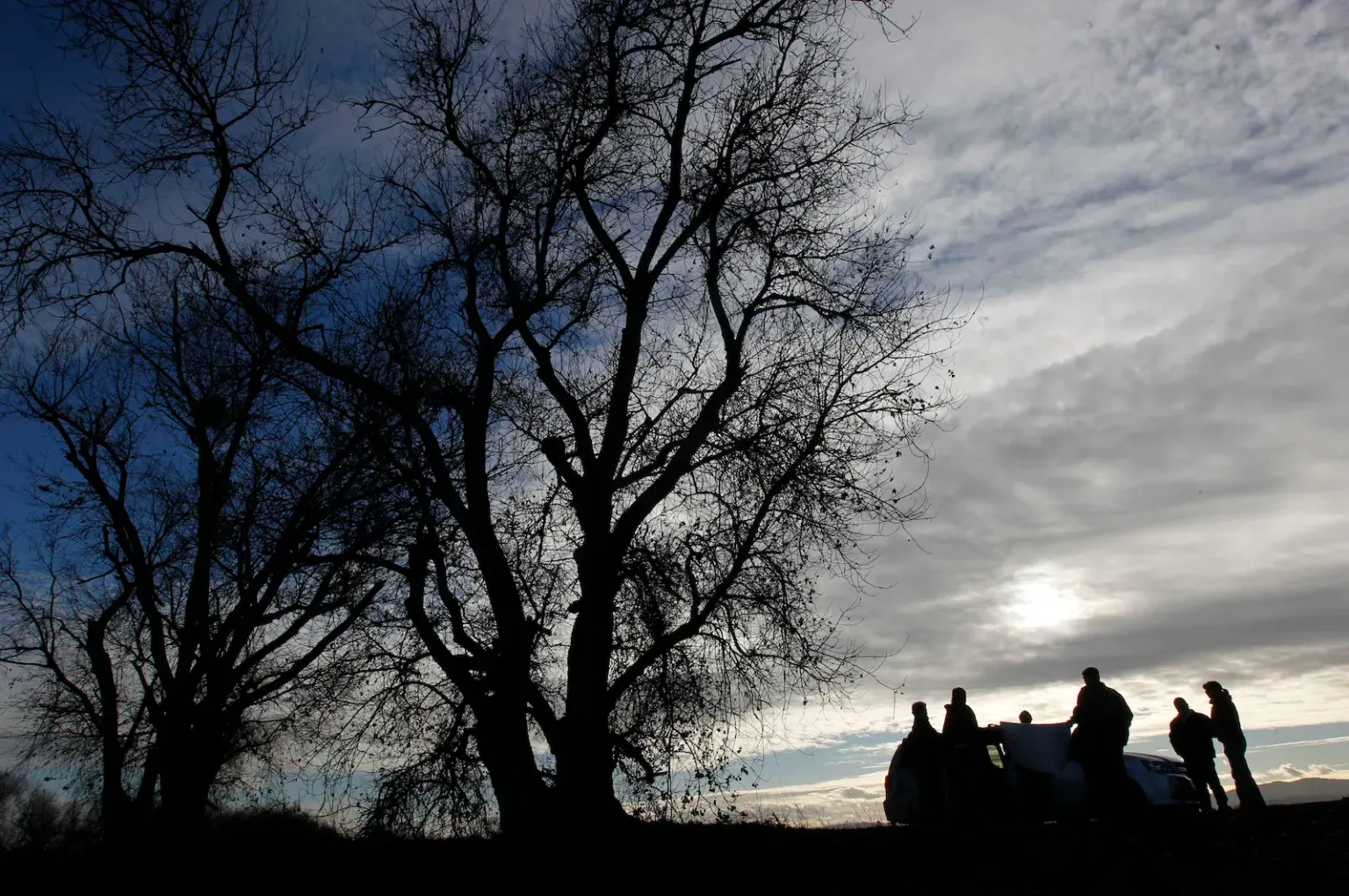 Trees and a group of people with a vehicle in silhouette against a bright cloudy sky
