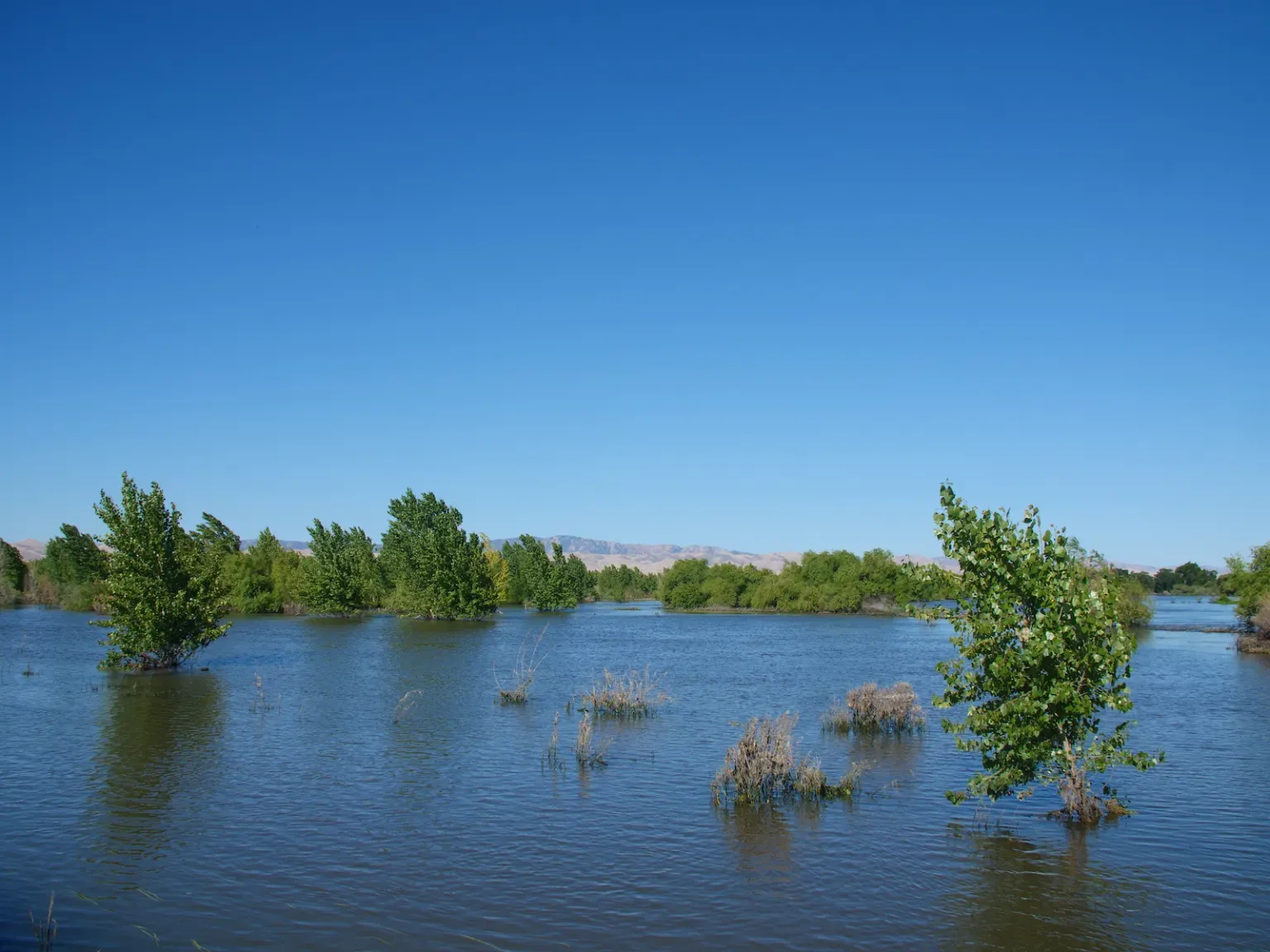 How can California solve its water woes? By flooding its best farmland