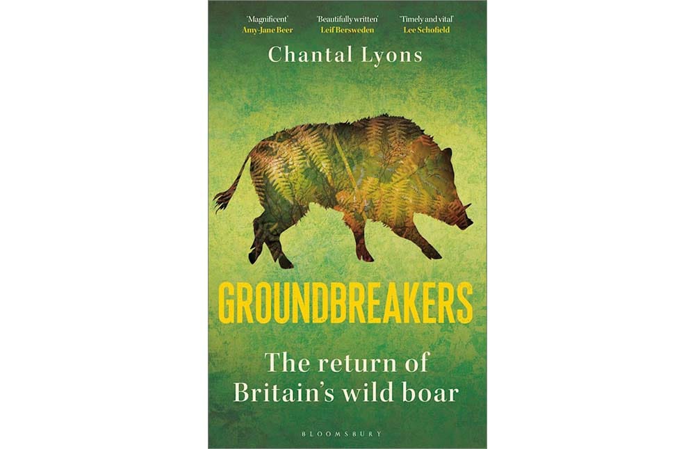 Cover of the book Groundbreakers by Chantal Lyons
