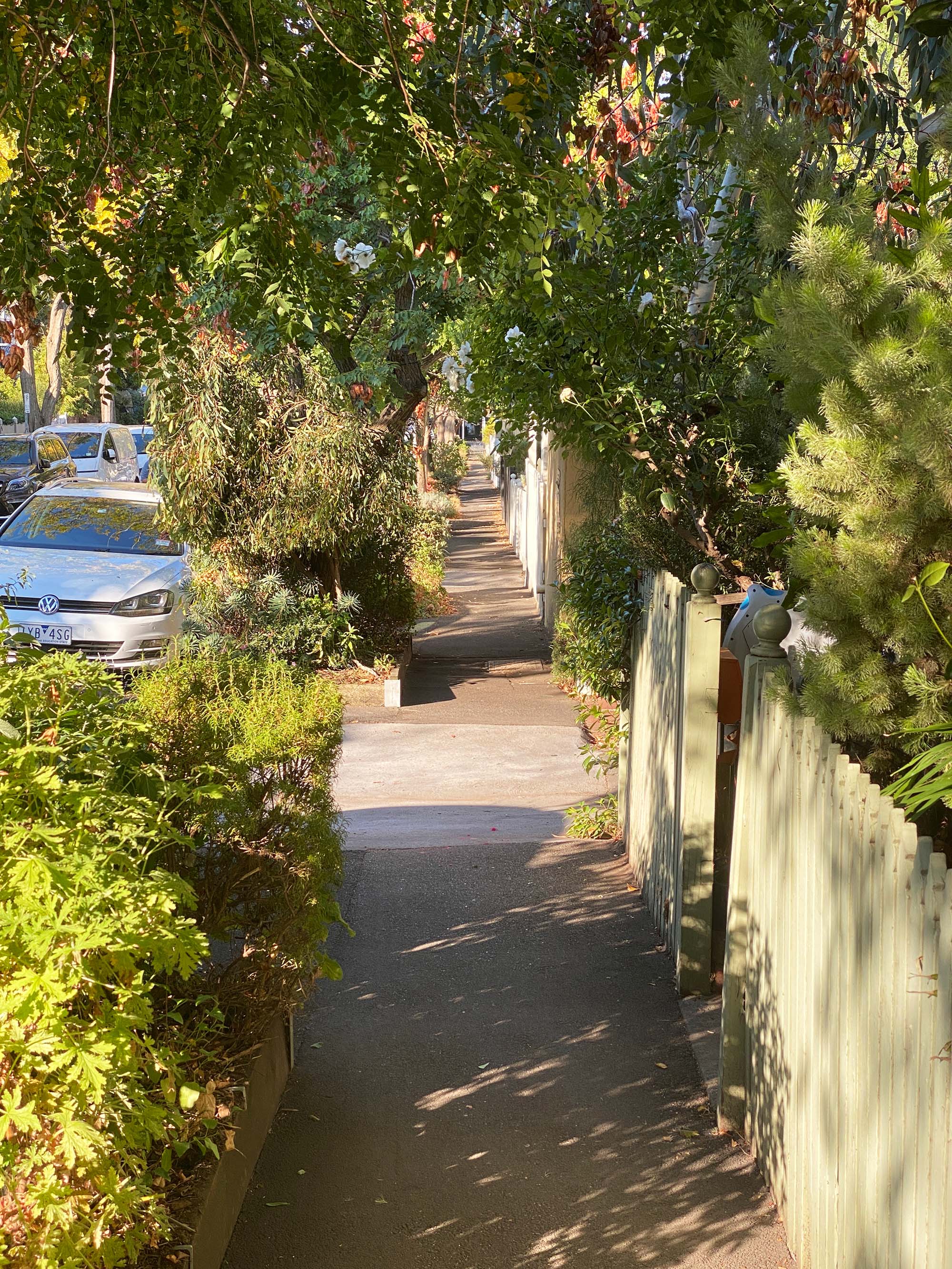 The pollinator corridor project that’s transforming Melbourne’s streets