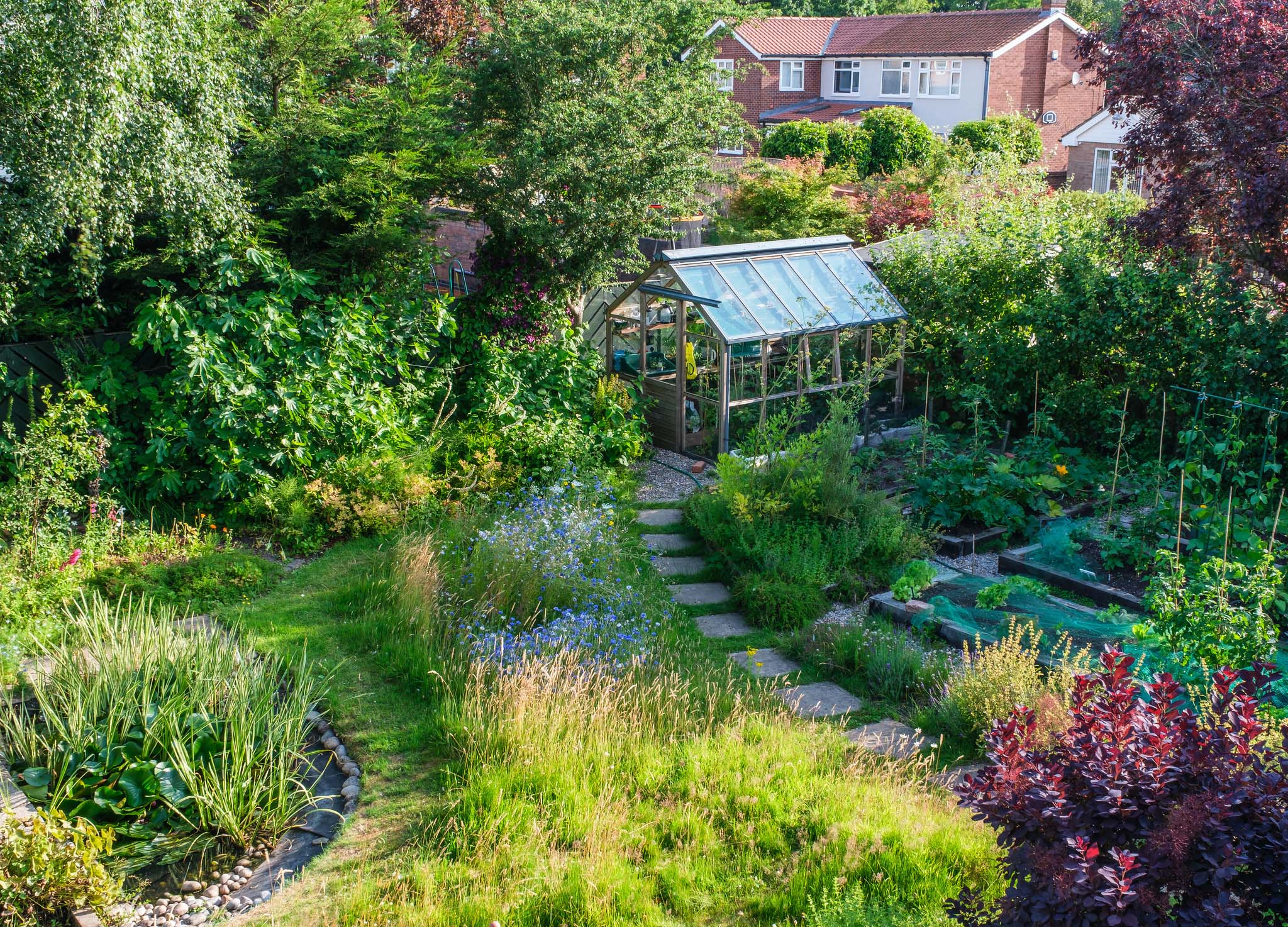 A densely planted and very inviting backyard garden and greenhouse 