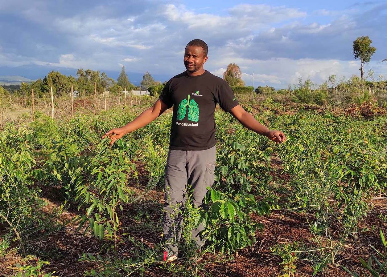 person with arms wide standing in a field full of young trees