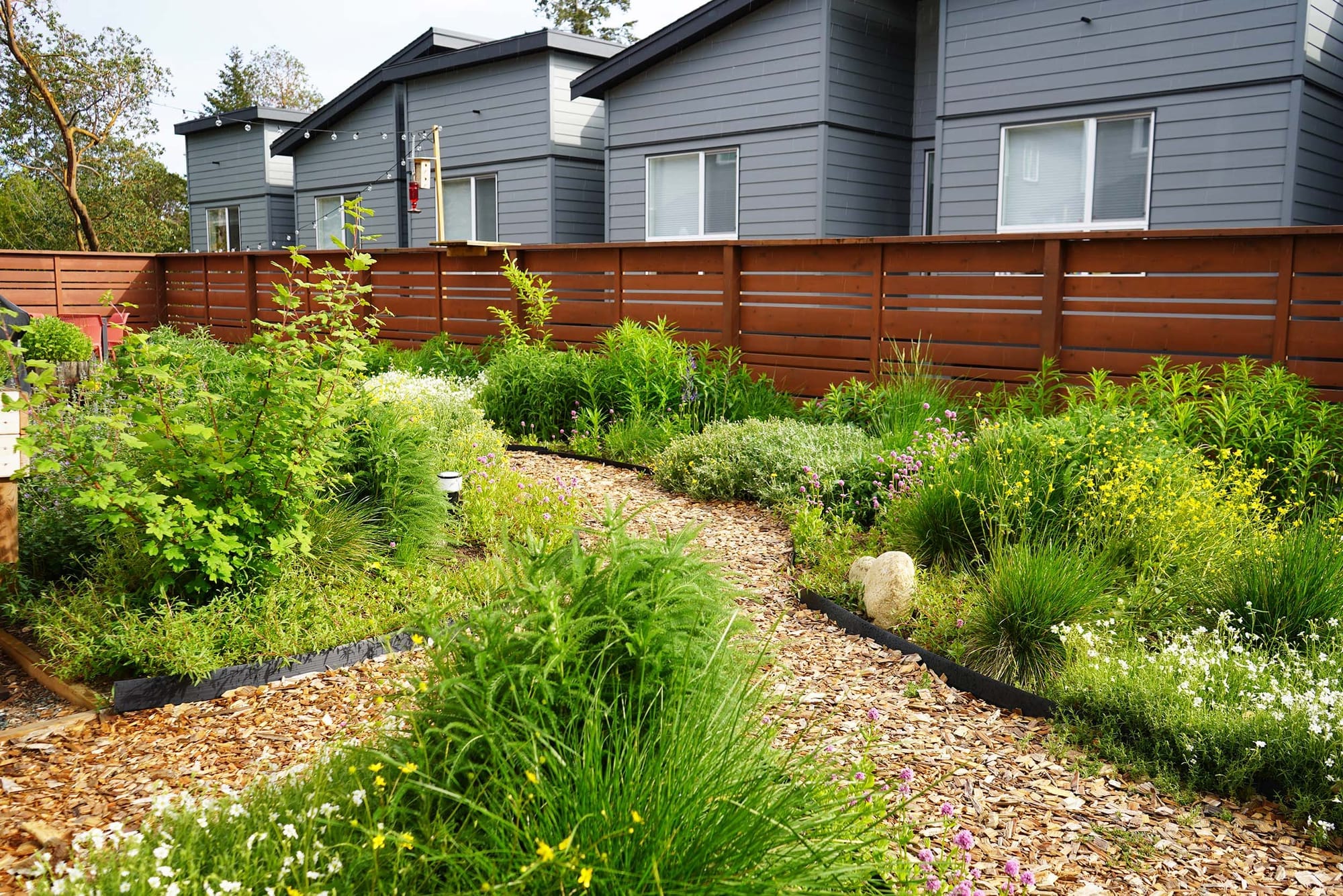 An urban garden of native plants and wood-chip walkways