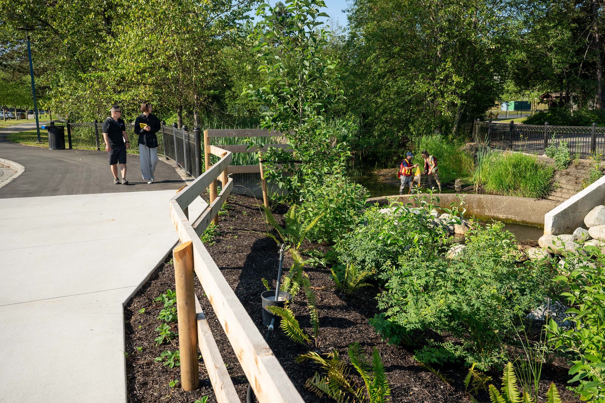 People walking alongside a naturalized urban creek