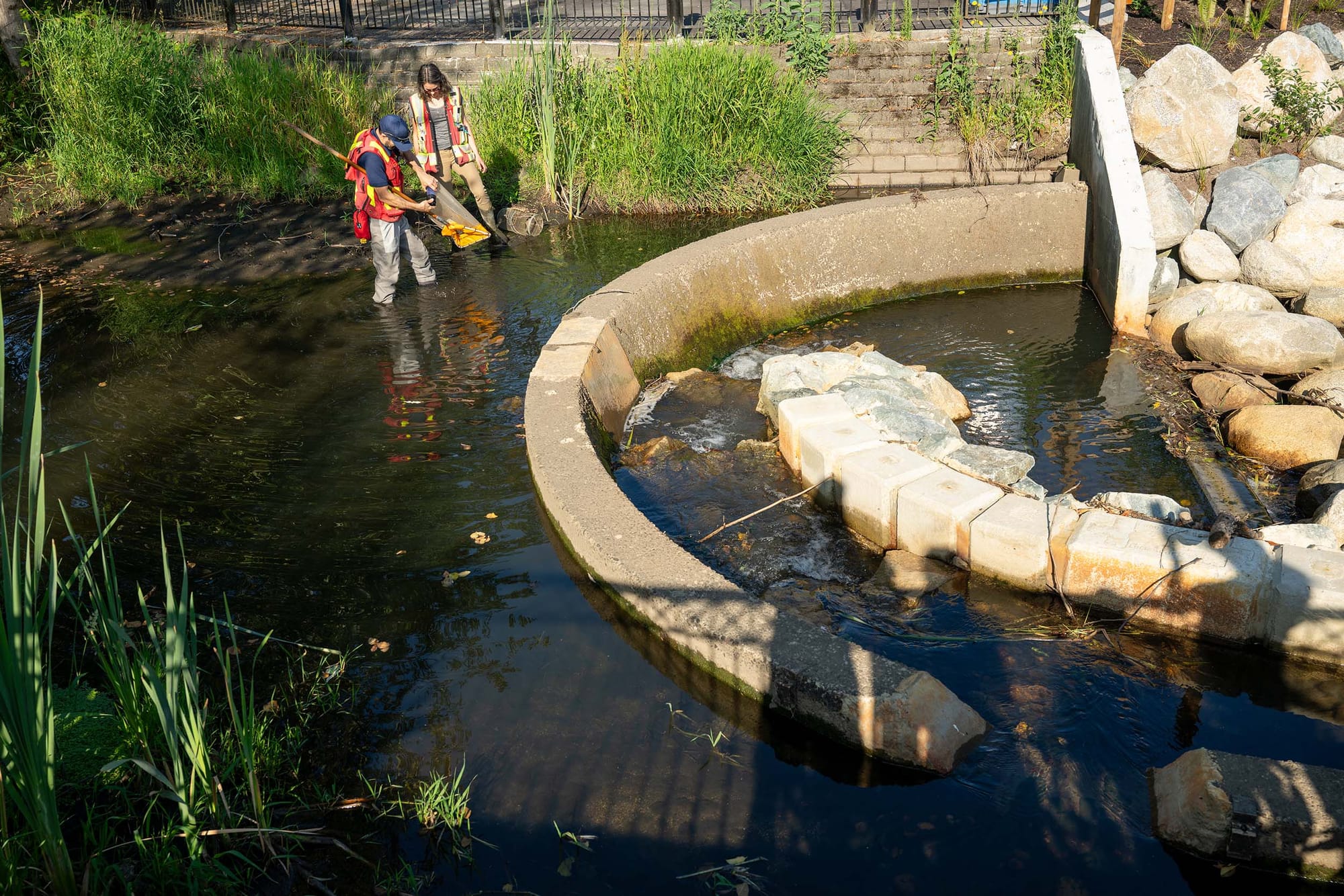 Workers in an urban creek