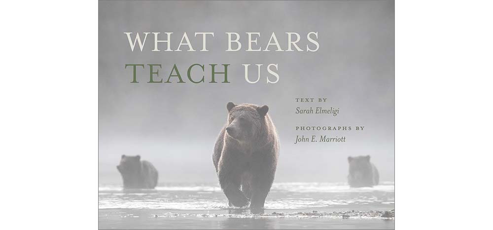 cover of the book What Bears Teach Us