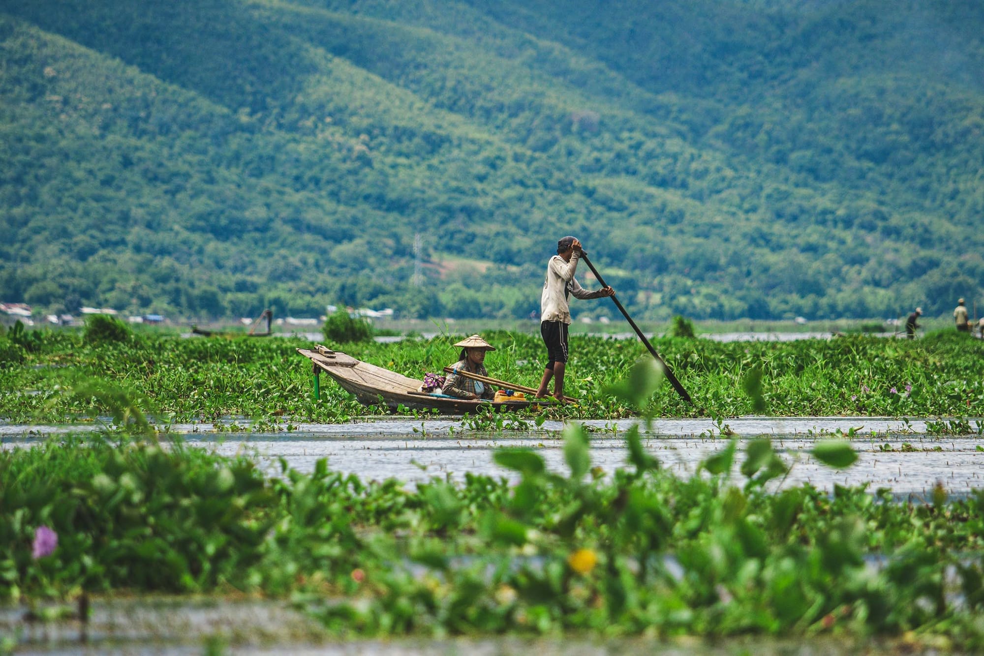 People poling a boat through a wetland with forested hills in the background