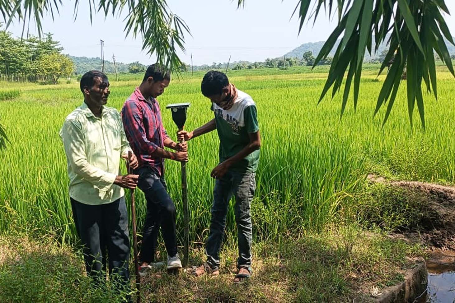 Three people in a field installing an electronic device moutned on a wooden stake