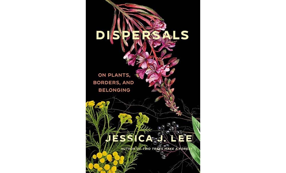 cover of the book Dispersals