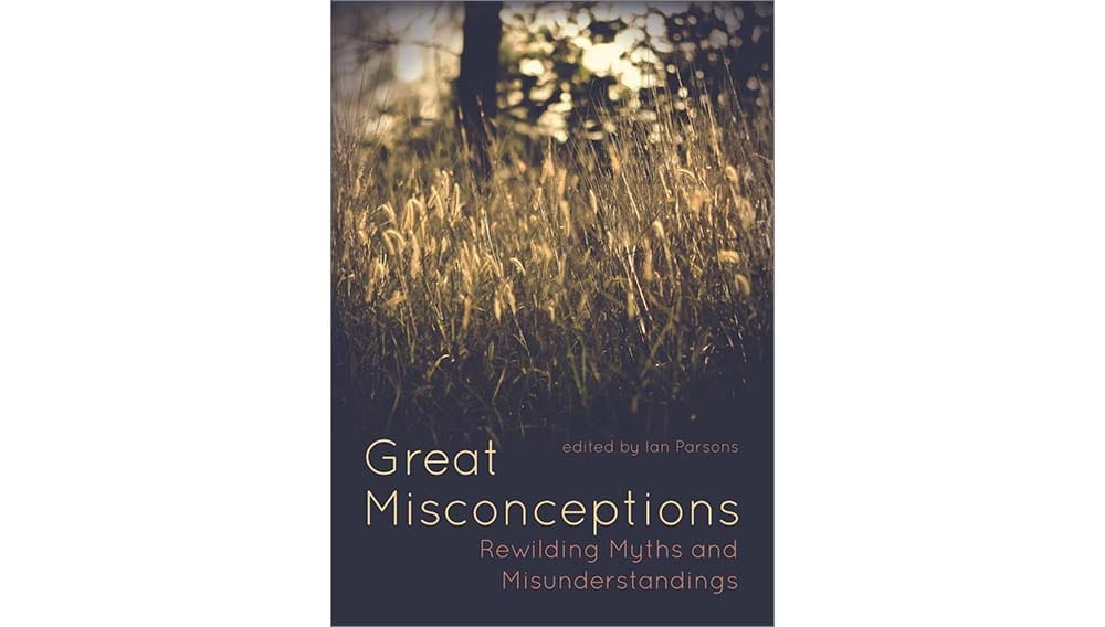 cover of the book Great Misconceptions