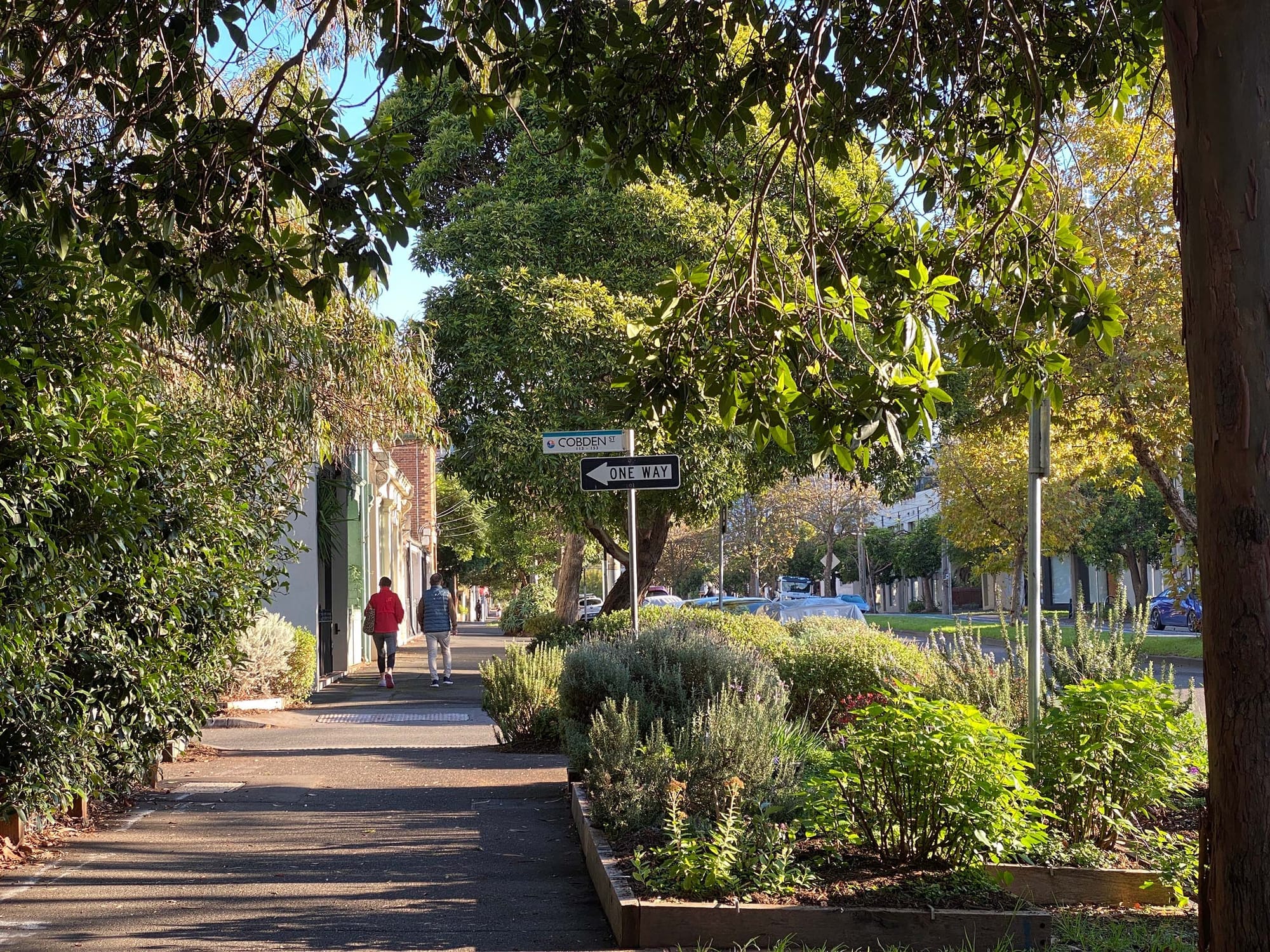 An urban streetscape featuring a sidewalk surrounded by lush greenery