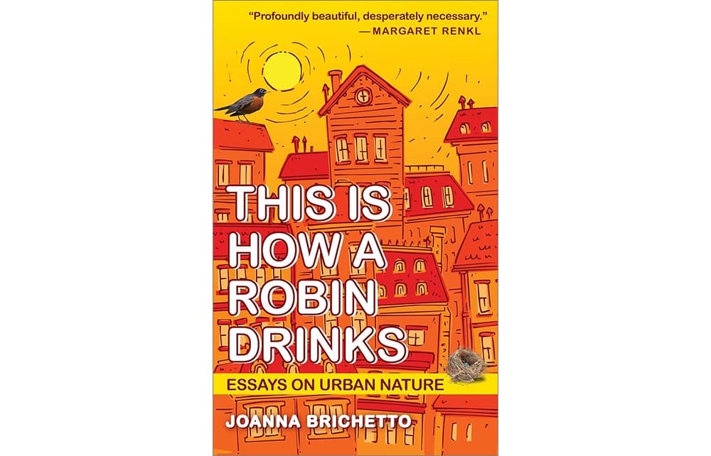 cover of the book This Is How a Robin Drinks