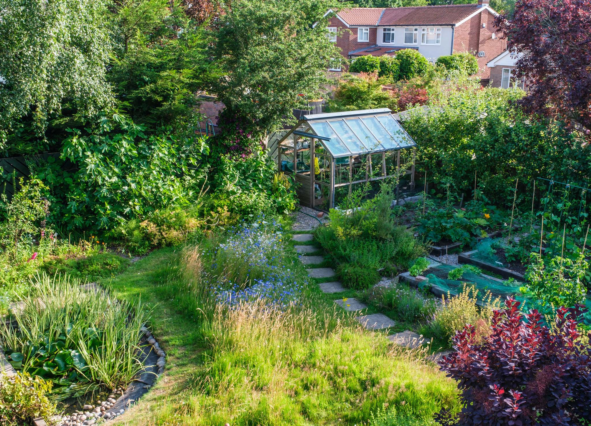 A landscaped backyard with a greenhouse, raised beds, meadow and other semi-wild spaces