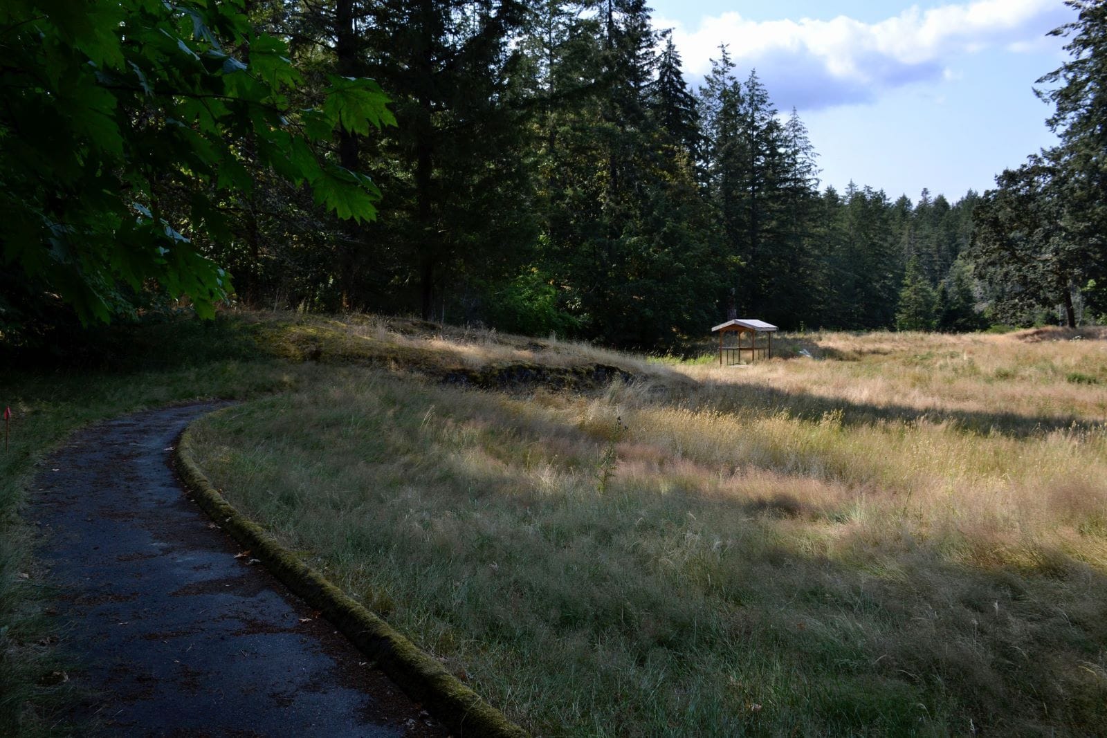 A pathway alongside long brownish grass with trees and a wooden shelter in the distance