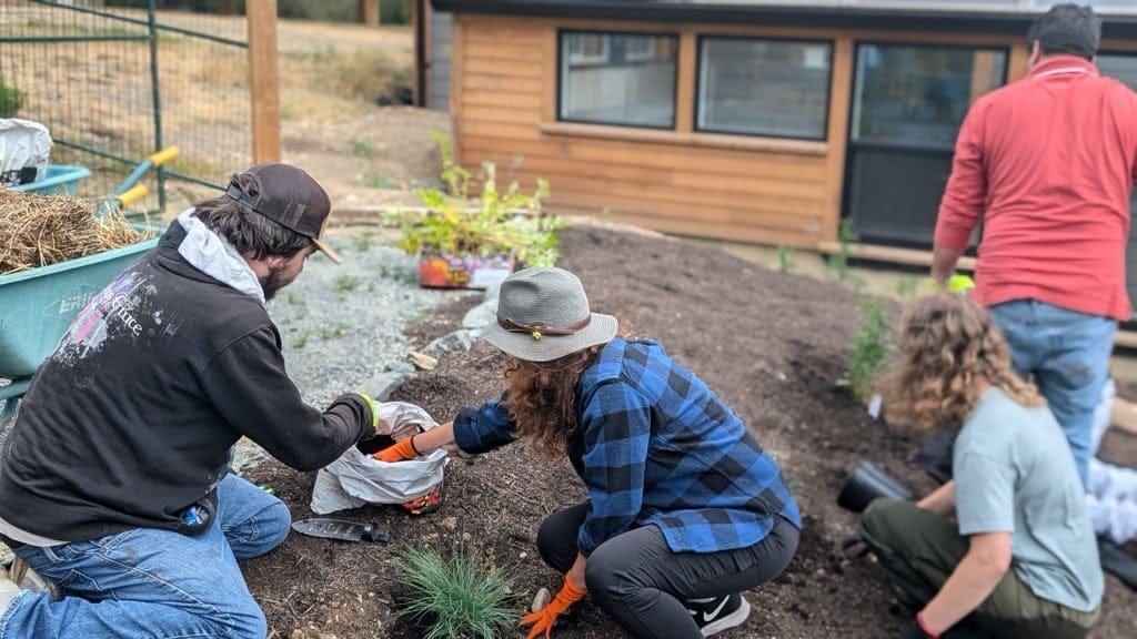 A group of people outdoors, planting seedlings in front of a wooden building