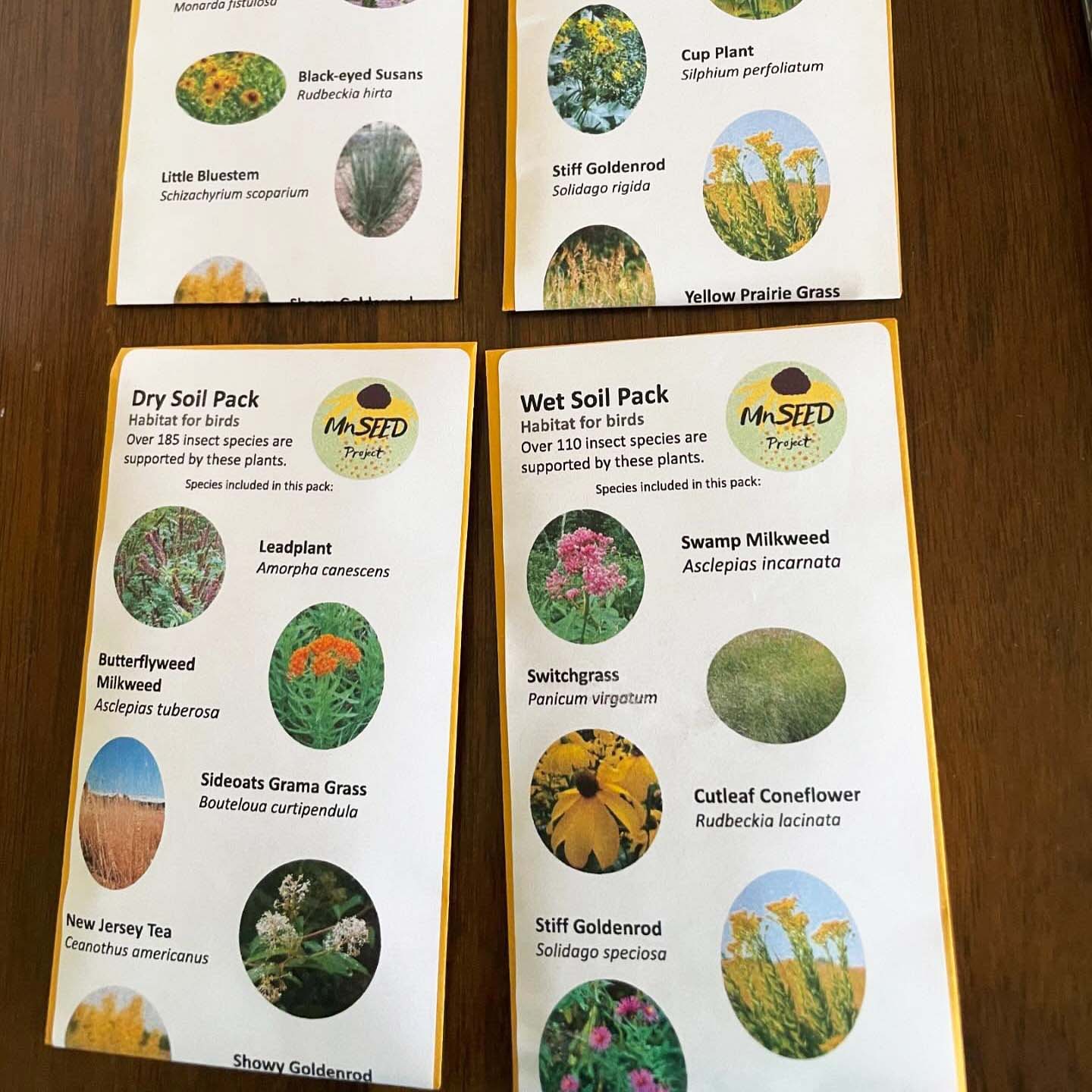 Four packets of native seeds on a table, each illustrated with various plants