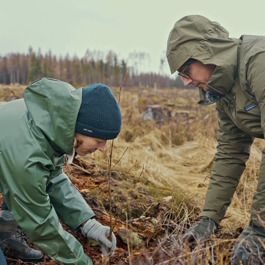 Two people in warm outdoorsy clothing planting a tree