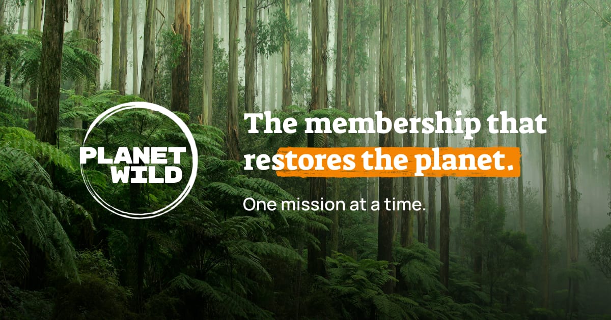 A forest background with the words "Planet Wild: The membership that restores the planet one mission at a time"