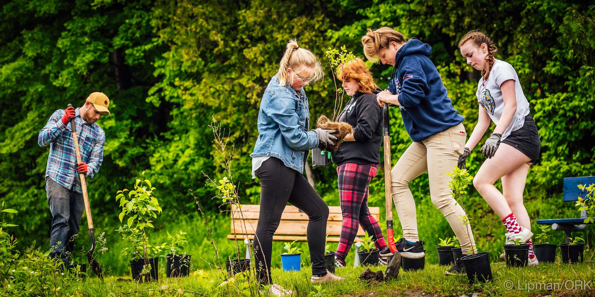 Five people outdoors in a green space planting trees and plants