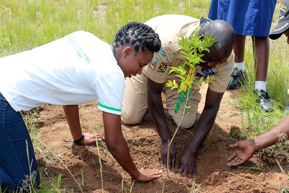 Shamiso Mupara, Environmental Buddies Zimbabwe | Rewilding