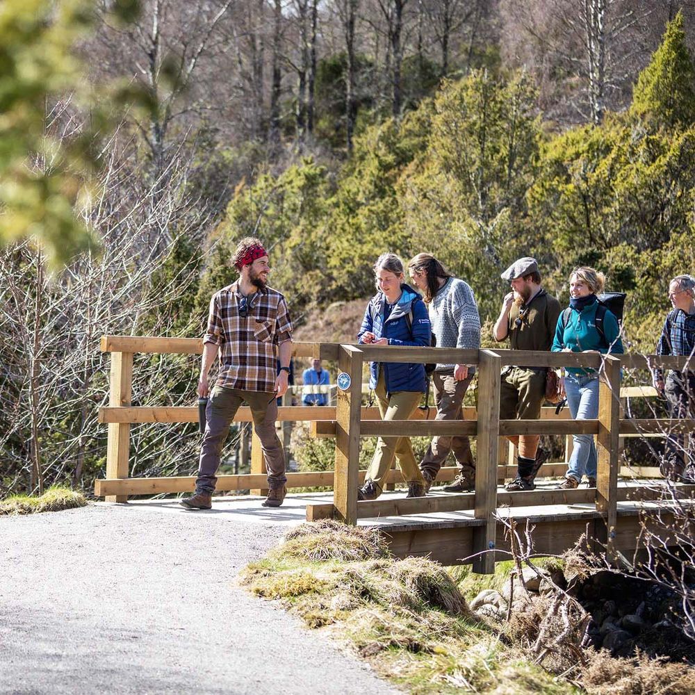 The Dundreggan Rewilding Centre Is Open For Visitors