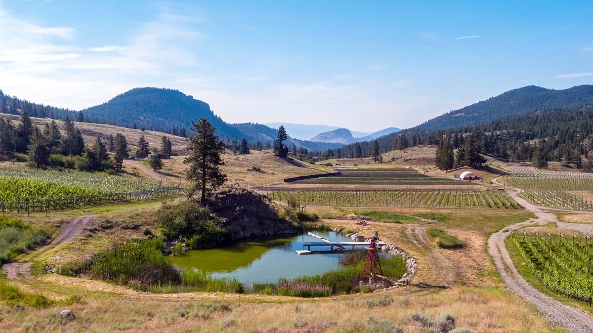 The winery that’s chosen to coexist with nature