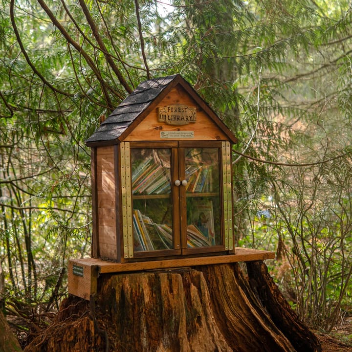 A little free library perched on a large tree stump surrounded by trees