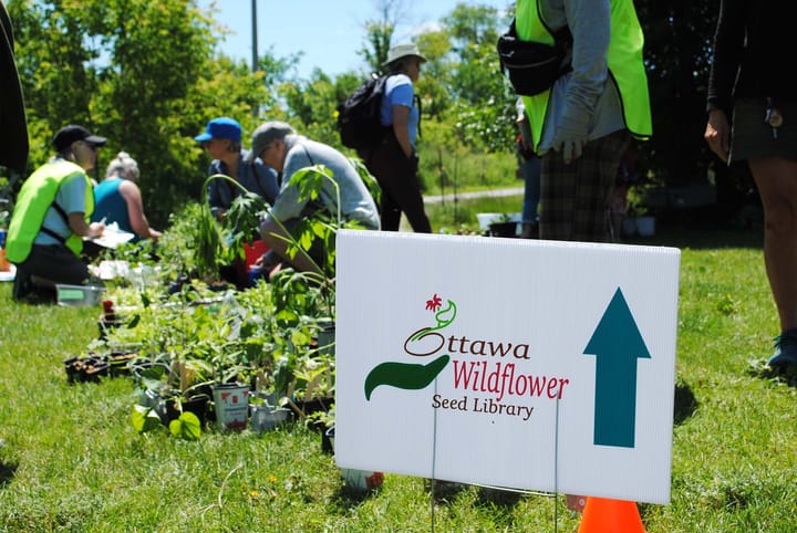 People outdoors on the grass in the sun looking at plants, behind a sign reading Ottawa Wildflower Seed Library